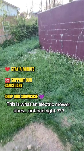 mowing with an electric mower is pretty impressive ❤️ STAY A MINUTE 🆘 SUPPORT OUR SANCTUARY BUY AN ITEM FROM OUR SHOWCASE 💜🆘 Support Our Sanctuary. we rescue unwanted farm animals we have horses donkeys ponies pigs goats chickens dogs turkeys cats even a parrot. we need to move and by our own land. we have someone willing to build six cabins for free where we will help people who do not have a home have a place to stay while getting A home of their own. we have everything but the land we have