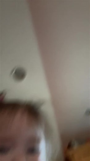 pj shorts (@pjshorts)’s videos with original sound - pj shorts