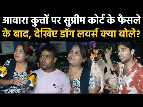 Supreme Court Order on Dogs: आवारा कुत्तों पर सुप्रीम कोर्ट के फैसले पर देखिए Dog Lovers क्या बोले?
