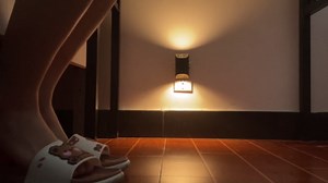 L LOHAS LED Night Light, Dimmable Night Lights Plug into Wall, Dusk to Dawn Sensor, Soft White 3000K, 0-100LM, Plug In Night Light, Modern Nightlights for Hallway Bedroom Stairway Bathroom, 2 Pack