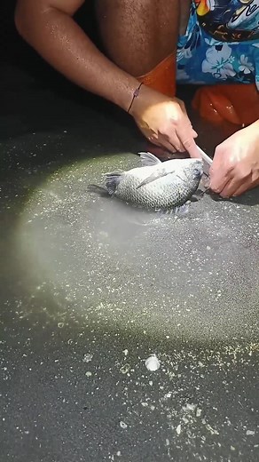 Strange Method for Catching Hidden FISH in the Sand #amazing#fishing | Mr.Pringle