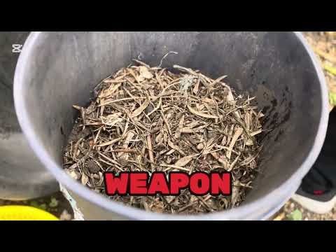 Heres How To Make Organic Compost
