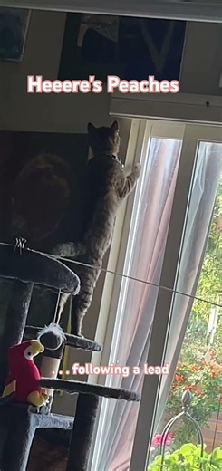 Some investigations take longer than others. 🕵️‍♀️🐾