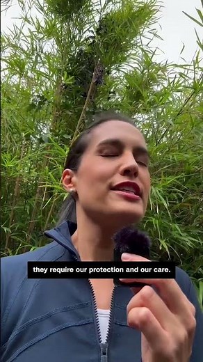 CNN Call to Earth Day: Guard your green space ❤️🌏 🌱