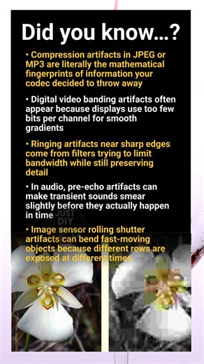 Artifacts in audio and video strange glitches that reveal how systems really work