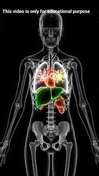 What happen in human internal body while drinking cigarettes or vipe