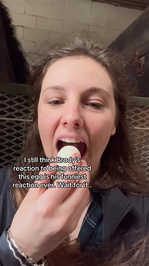 Horse's Hilarious Reaction to Egg Feeding Experiment