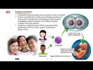 3. Causes of variation