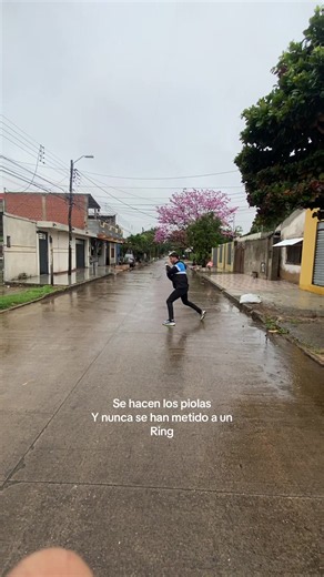 Un poco de Sombra — pelea y humor de Los Chiflados Blooming