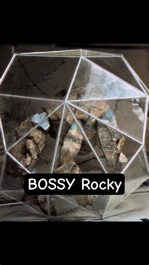 Ryan Gosling calls Rocky "BOSSY" 😂 I Grace and Rocky FUNNY argument I Project Hail Mary