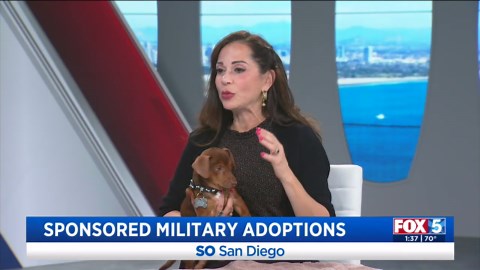 Sponsored pet adoptions for military members