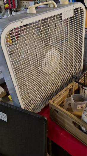 Lasko 3733 at a flea market