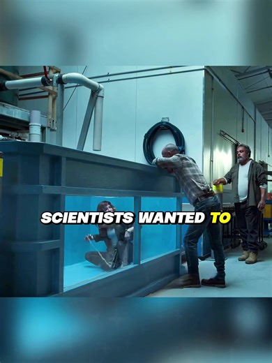 Mermaid Experiment: A Scientists' Dangerous Discovery
