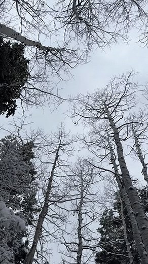 Laura’s Wandering on Instagram: "So there. #thegreatoutdoors #humor"