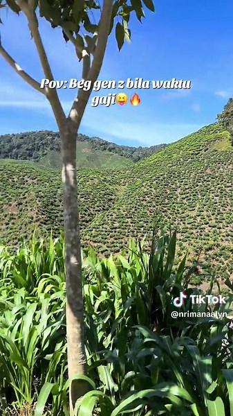 Trendsetting Gen Z Handbag Styles for OOTD 2026