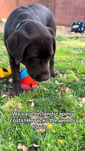 It's Me Woody on Reels