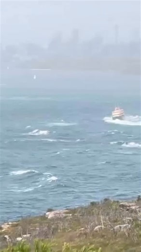 Okay, who’s enjoying this Manly ferry ride across the heads, send your video to our news tip line or DM! 📲 0435 741 777 📸 @kristydoddy | Manly Observer