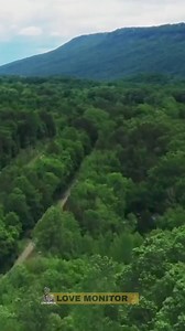 Amazon | Love Monitor