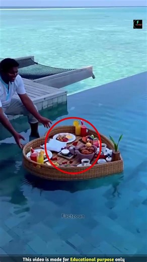 Floating Breakfast In Water