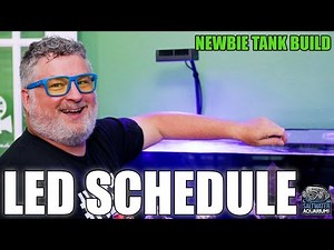 LED Lighting SCHEDULE for Saltwater Aquariums - Newbie Tank Build