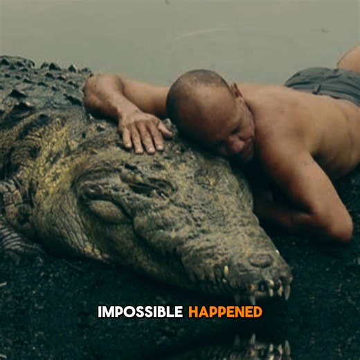 When Gilberto “Chito” Shedden rescued an injured crocodile he named Pocho, no one imagined what would follow. After nursing him back to health, Chito formed an unbreakable friendship with the massive reptile. For over 20 years, they swam, played, and trusted one another in a way the world had never seen. Their story proved that connection can exist in the most unlikely places — even between a man and a crocodile. #ChitoAndPocho #CrocodileFriend #TrueStory #UnlikelyFriendship | Vintage Starlight