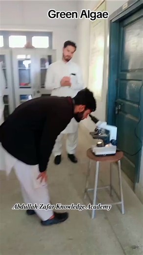 Green Algae Under Microscope #abdullahzafar #biology #11thbiology