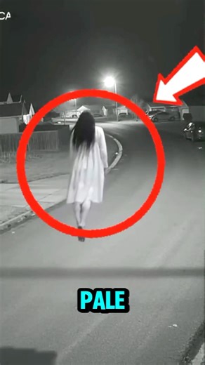 Ghost vs dog. #cctv #funny #scary #horror #dog