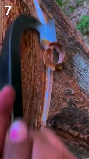 Amazing Rubber Sap Path Making Process 🌳🛤️ #shorts