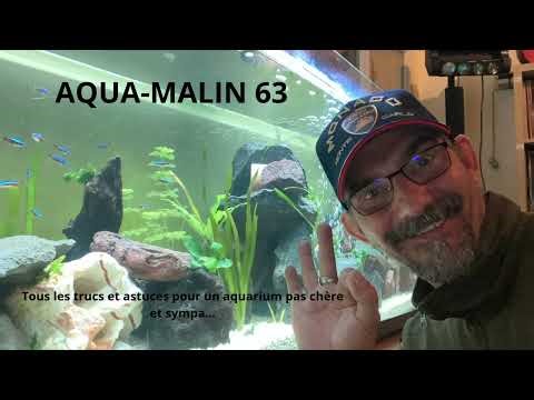 Episode N°25 Le cycle de l'azote : Le processus invisible qui contrôle la vie de ton aquarium