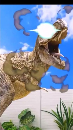 #monkey #monkeybaby #animalshome