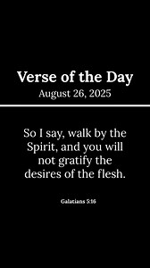 Everyday Bible on Reels