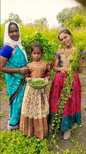 அதலக்காய் வேட்டைக்கு போகலாம் வாங்க #vegetables #villagelife #farming #nature #agriculture