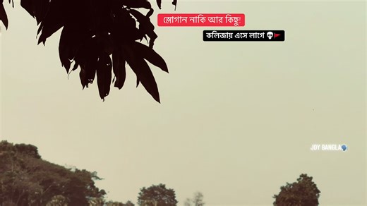 SLOGAN💢🚩💀 #funnymoments #joybangla #fyppppppppppppppppppppppp #viral_video_tiktok #trendingvideo