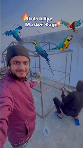😱Master cage aise bnao🦜|| How to make master cage #birds #shorts #parrot #animals