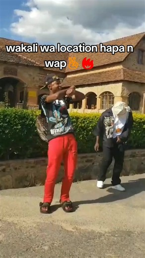 Engaging Dance Moves in TikTok Challenges