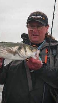 Catch More Bass with Soft Plastics! 🎣 #savagegear #bassfishing #fishing