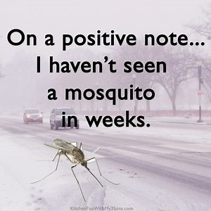 Kitchen Fun With My 3 Sons on Reels