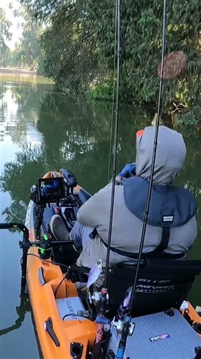 Oxbow Silky Shad Crank #oxbowbaits #fishing #oldtownkayak #swimbait #phenixrods