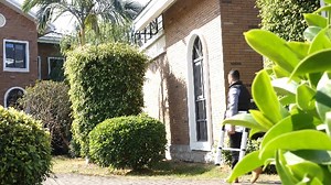 Watch WolfWise Aluminum Telescopic Extension Ladder on Amazon Live