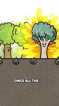 Eucalyptus Trees Are Built For Fire?!