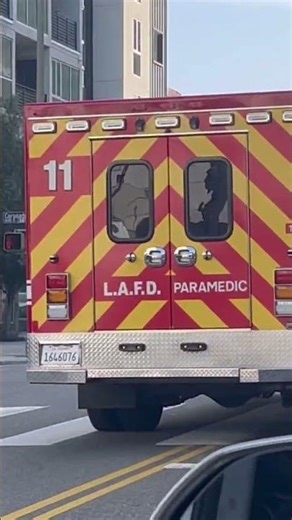 Station 11 Ambulance