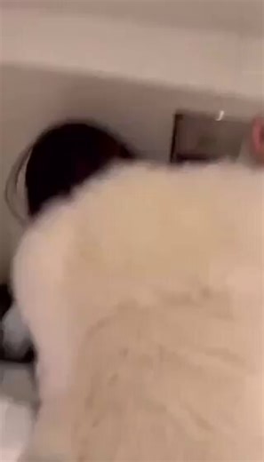 Post by ccc on X: 🤤