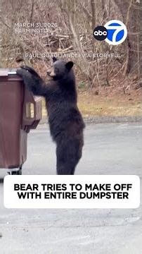 Bear tries to make off with dumpster