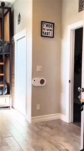 Amazon Hauls And Finds (@amazonhaulsandfinds)’s videos with original sound - Amazon Hauls And Finds