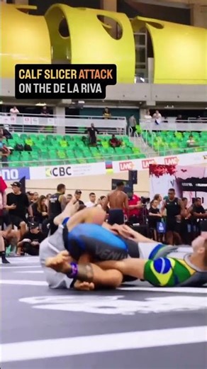 Calf Slicer Attack on the De La Riva