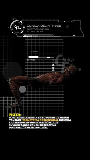 Hip Thrust analizado con EMG. Para esta prueba analizamos el hip thrust con 3 posiciones de pantorrillas con la intención de medir el cambio en el estímulo entre gluteos, isquiotibiales y cuádriceps. Comprobamos que este ejercicio con todas sus posiciones trabaja siempre gluteos, isquiotibiales y cuádriceps al mismo tiempo, y en ninguna se cambia el enfoque entre ellos, sino únicamente cambia la proporción de activación entre isquiotibiales y cuadriceps. La conclusión es que la posición con pant