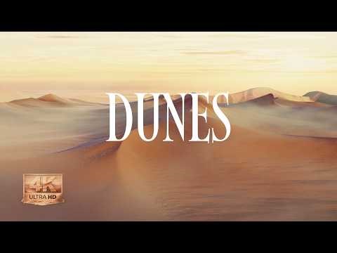 Lost Egypt in the Dunes 🌅 1 Hour Ambient ASMR Soundscape
