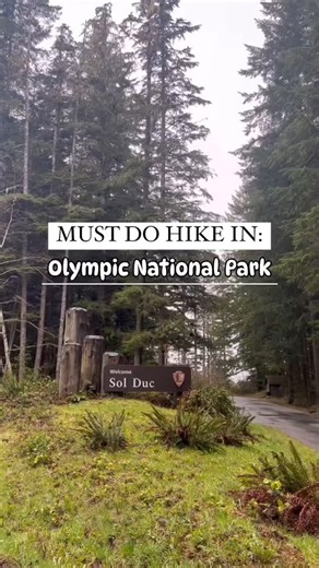 Nicole | MidlifeTravelers 📚 National Park Travel Guides on Instagram: "Sol Duc Falls trail in Olympic National Park is a popular, family-friendly, 1.6-mile out-and-back hike through old-growth rainforest to a scenic waterfall. I'm Nicole and I guide folks like you to make traveling to the National Parks easy and fun. Come along with me and have some fun 😁 @thenicoletycer 👈 The trail has an elevation gain of about 262-350 feet, making it easy to moderate, and takes around 30-60 minutes to comp