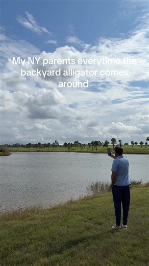 Funny Alligator Encounters in NYC Backyards