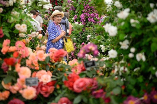 The emergency RHS plans protecting its gardens from threat of water droughts: ‘Adapting to the new normal’